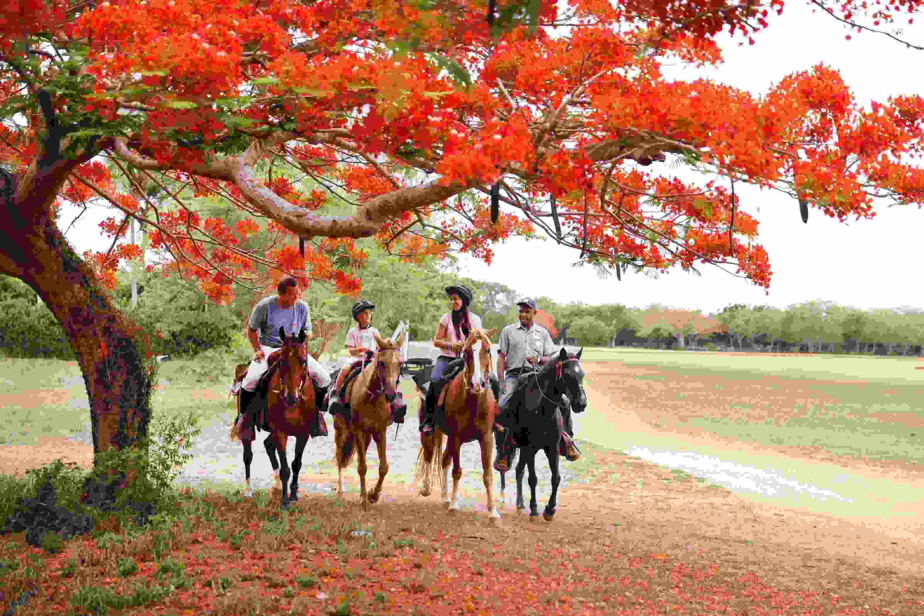 A Perfect Day at the Casa de Campo Resort & Villas